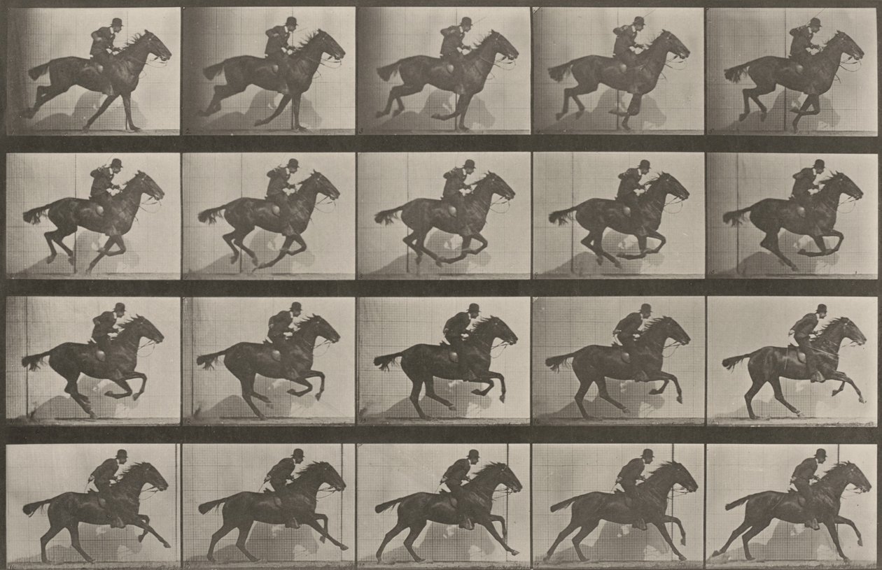 Tablica numer 628. „Daisy” w galopie autorstwa Eadweard Muybridge