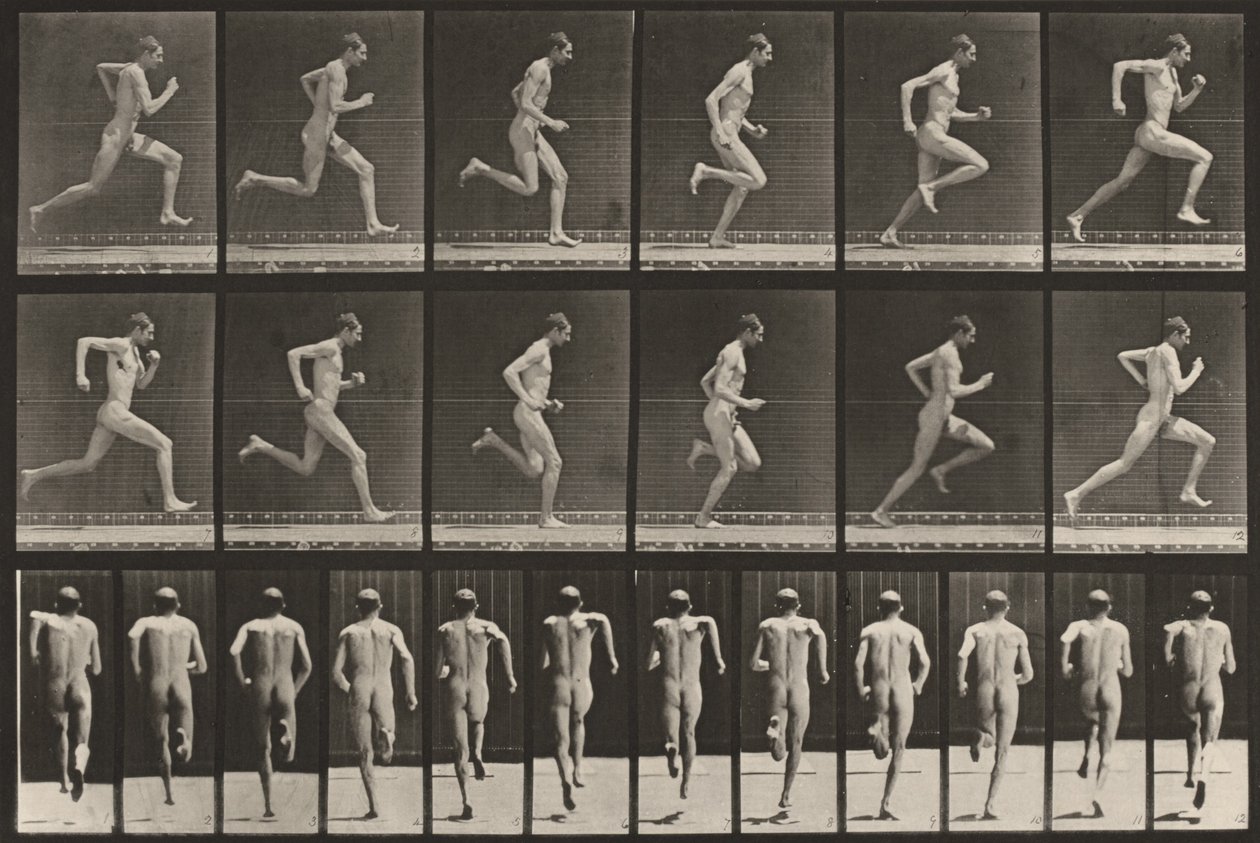 Tablica numer 62. Bieg z pełną prędkością autorstwa Eadweard Muybridge