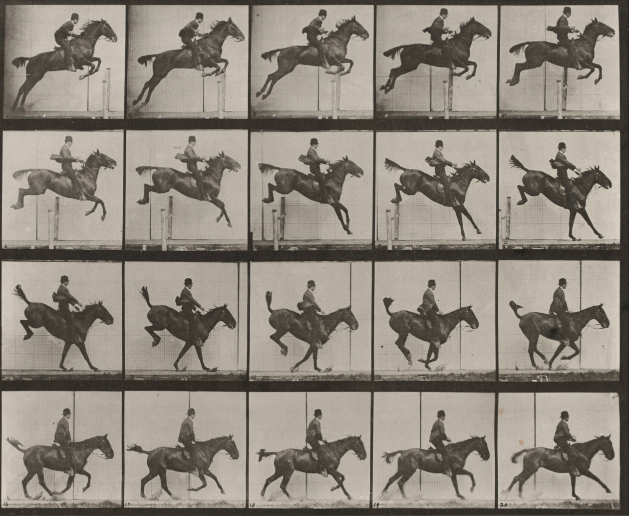 Tablica numer 637. „Daisy” skacząca przez przeszkodę, osiodłana, podczas pokonywania przeszkody, lądowania i odzyskiwania równowagi autorstwa Eadweard Muybridge