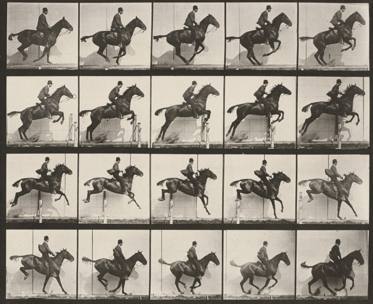 Tablica numer 640. „Daisy” przeskakuje przeszkodę, osiodłana autorstwa Eadweard Muybridge