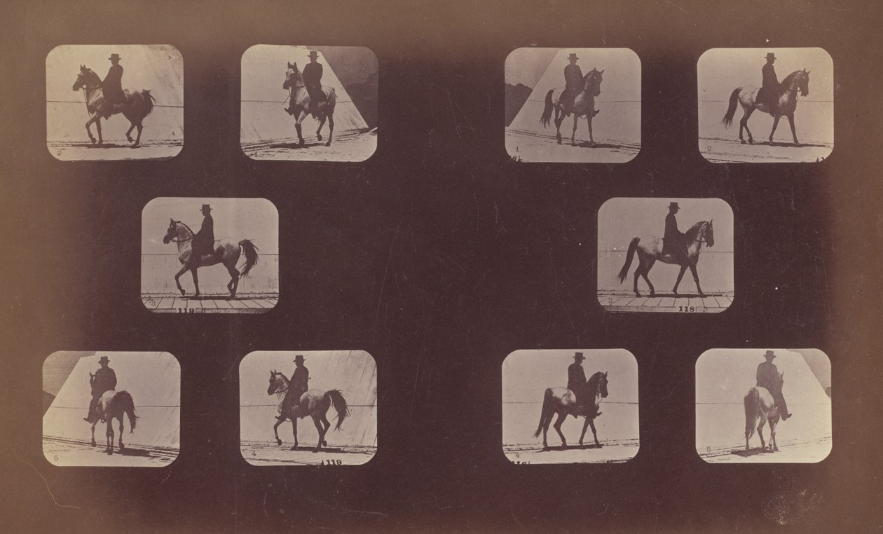 Badania skrótów perspektywicznych. Konie. Pieszy. Mahometa. nr 119-120 autorstwa Eadweard Muybridge