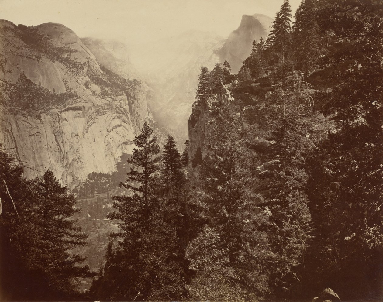 Kanion Tenaya z Union Point, dolina Yosemite autorstwa Eadweard Muybridge