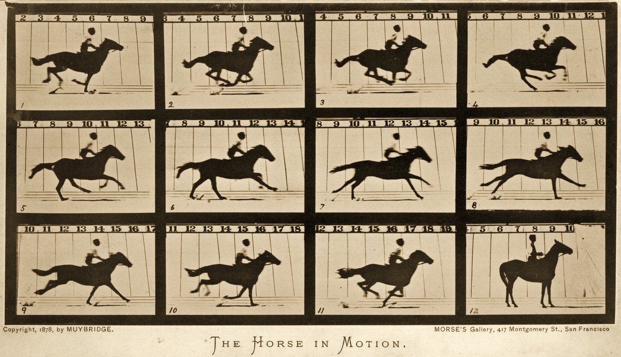 Koń w ruchu, cykl „Lokomocja zwierząt”, ok. 1878 r. autorstwa Eadweard Muybridge