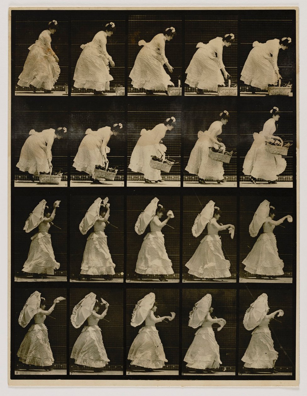 Kobieta podnosząca kosz, machająca chusteczką, z książki Animal Locomotion autorstwa Eadweard Muybridge