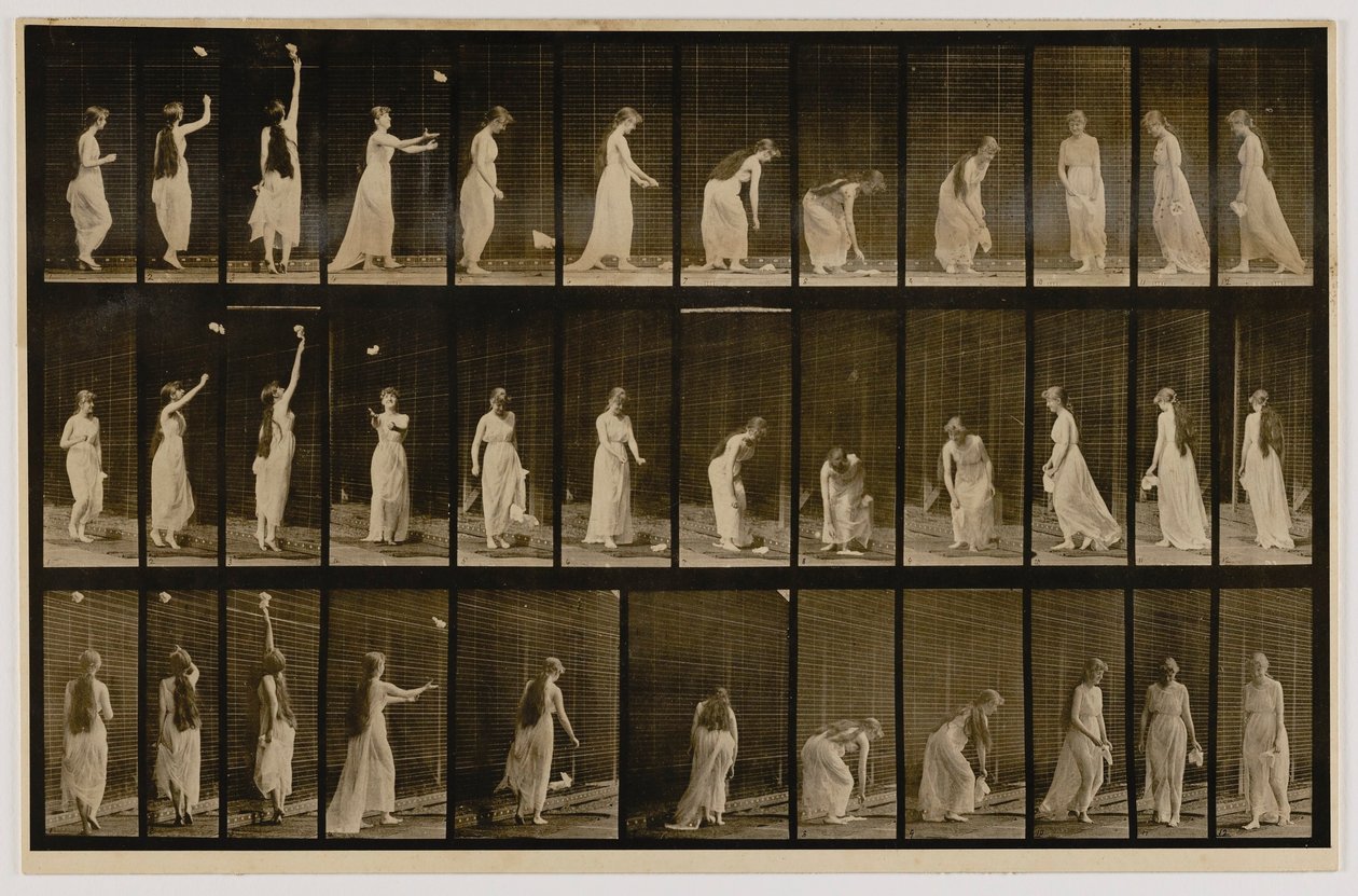 Kobieta wyrzucająca chusteczkę w powietrze i podnosząca ją, z książki Animal Locomotion autorstwa Eadweard Muybridge