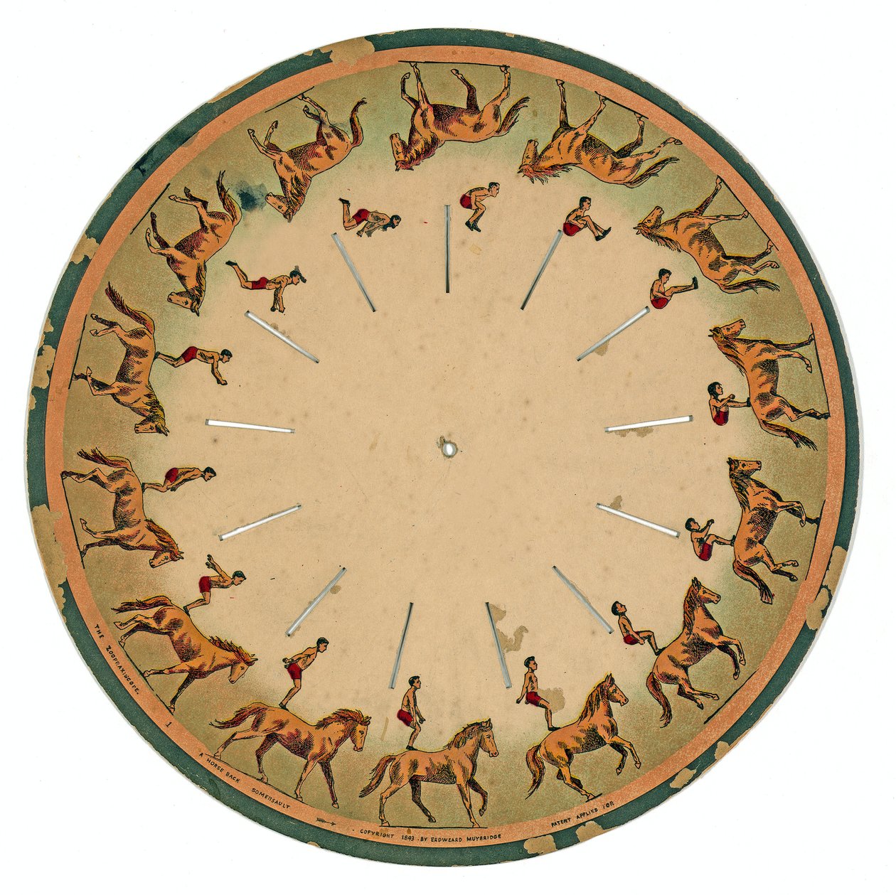 dysk zoopraksyskopu przedstawiający akrobatę wykonującego salto w grzbiecie konia, 1893 autorstwa Eadweard Muybridge