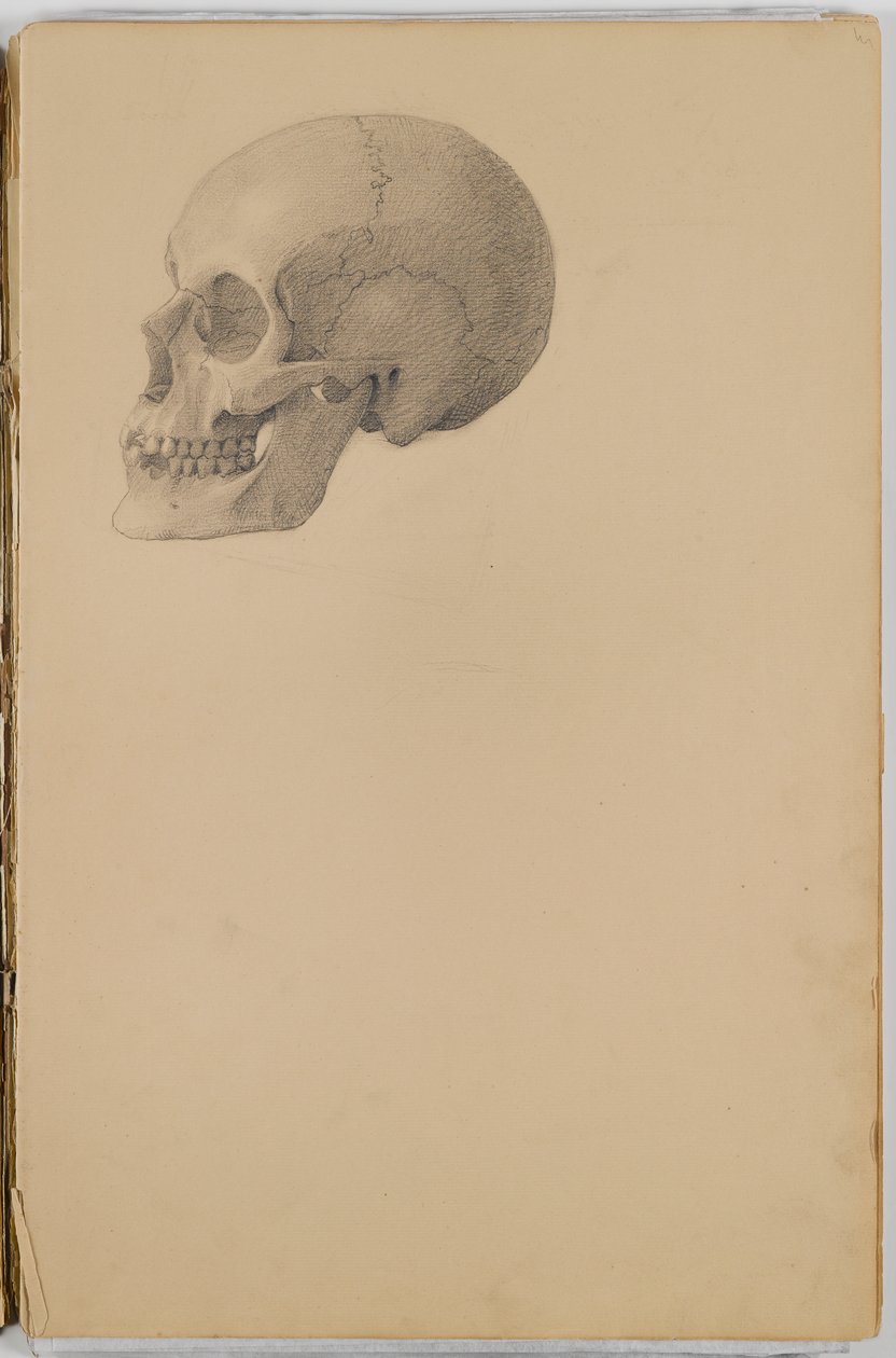 Anatomia Sketch Book, 1849 (szkicownik zawierający rysunki w kolorze grafitowym) autorstwa Eastman Johnson