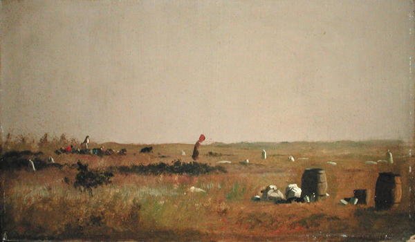 Studium dla zbieraczy żurawin (olej na pokładzie) autorstwa Eastman Johnson