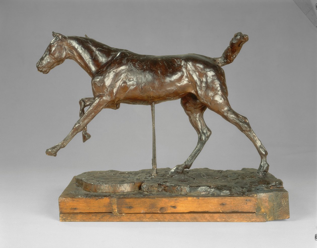 Galopujący koń prawą nogą, koniec lat 80. XIX wieku. autorstwa Edgar Degas