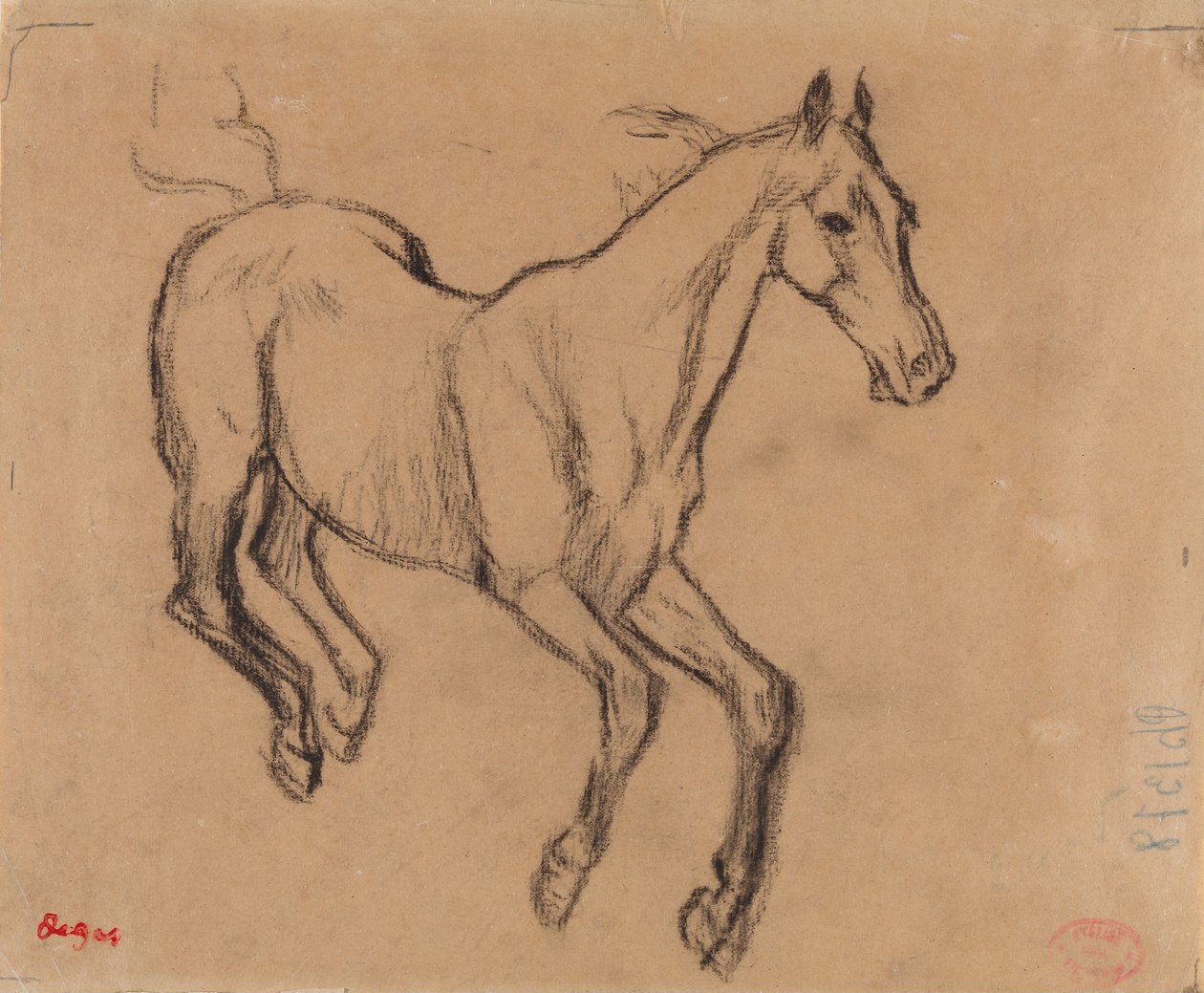 Galopujący koń autorstwa Edgar Degas