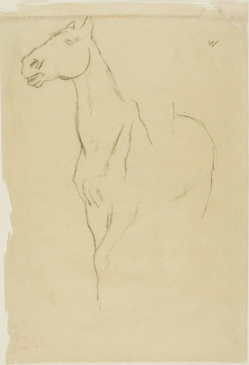 Horse Turned Three-Quarters autorstwa Edgar Degas