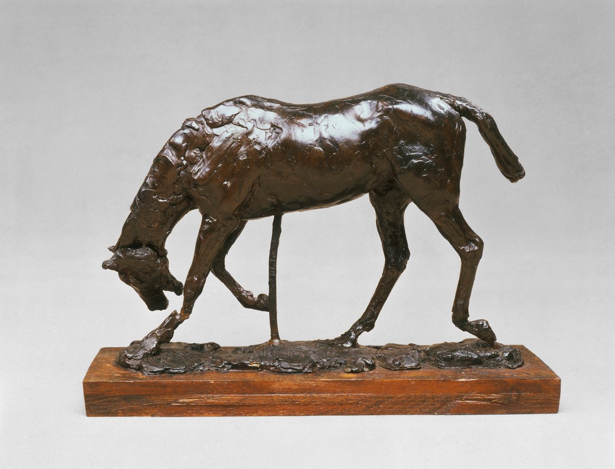 Koń z opuszczoną głową autorstwa Edgar Degas