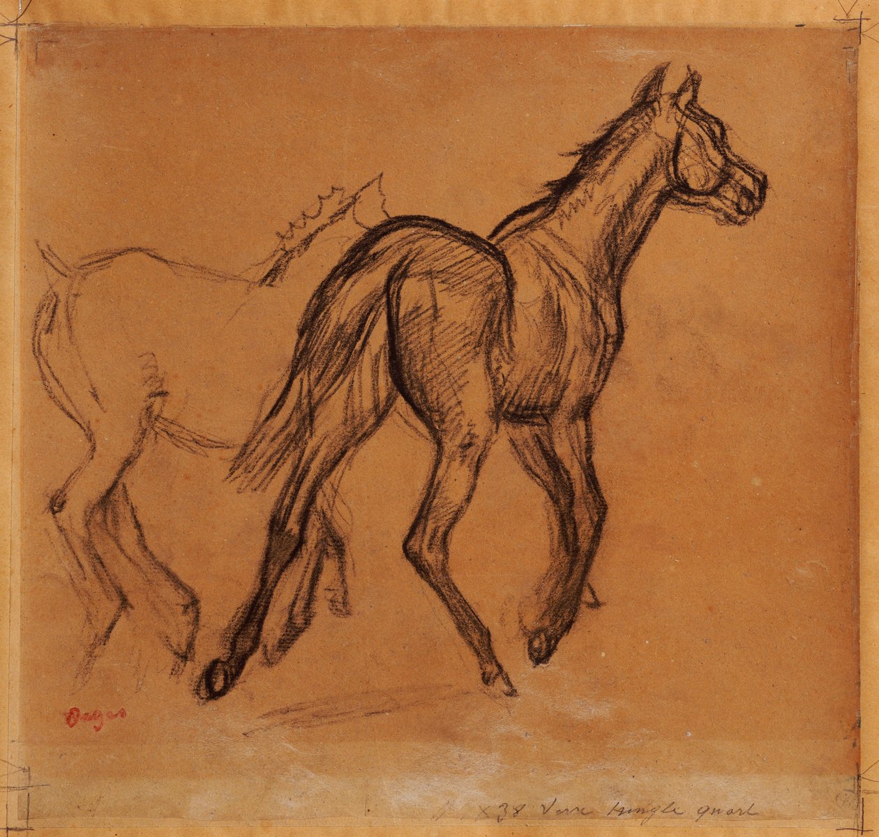Konie, ok.1882 autorstwa Edgar Degas