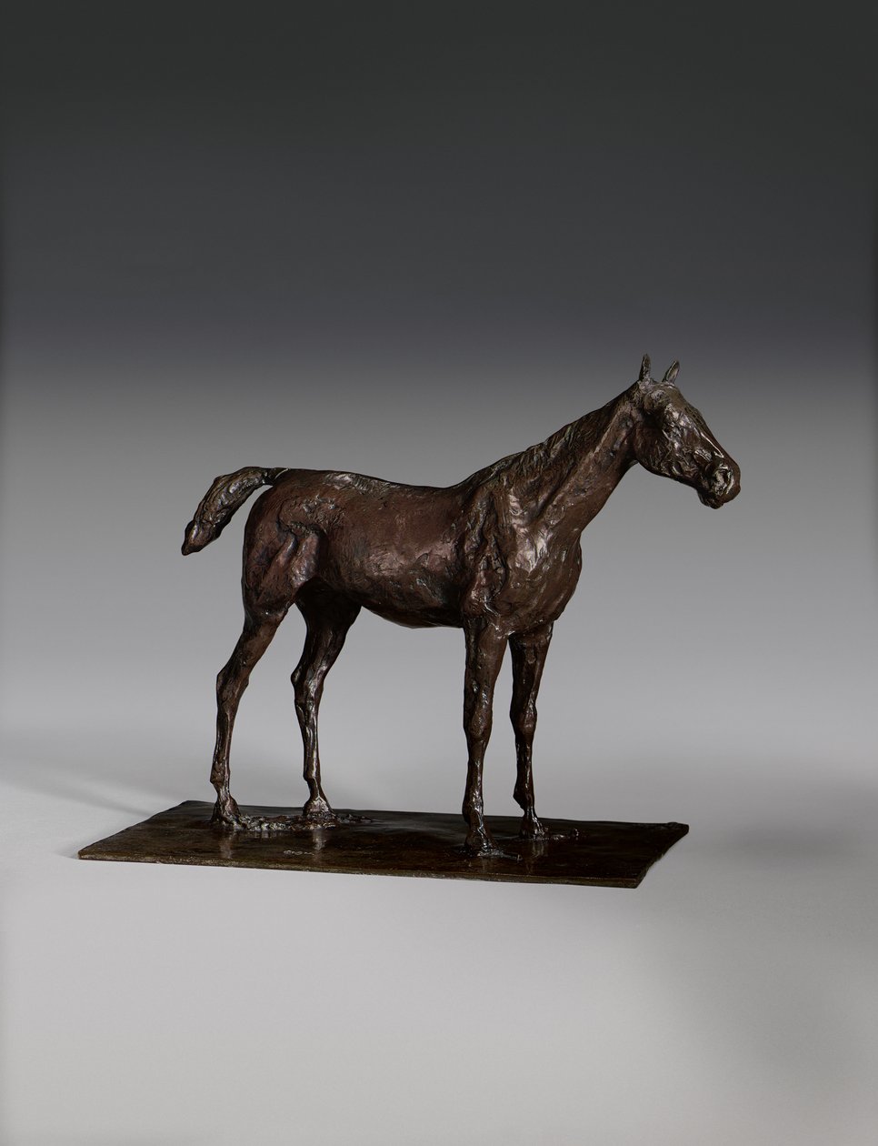 Stojący koń autorstwa Edgar Degas