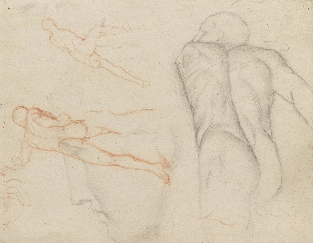 Badania „Gladiatora Borghese”, ok. 1856-57 autorstwa Edgar Degas