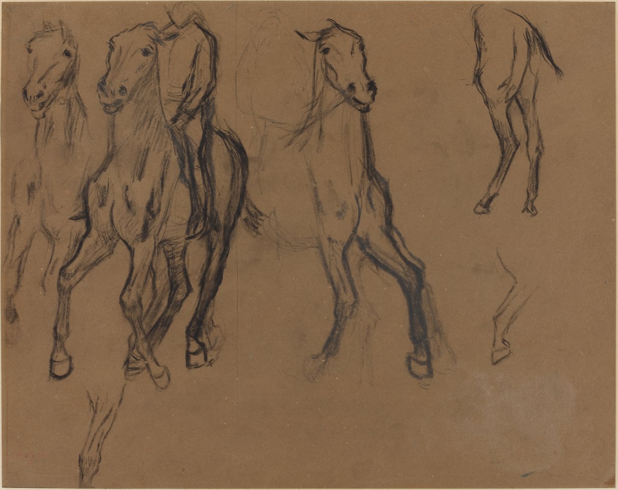 Studium koni, ok. 1886 (węgiel drzewny i grafit na papierze brązowym) autorstwa Edgar Degas