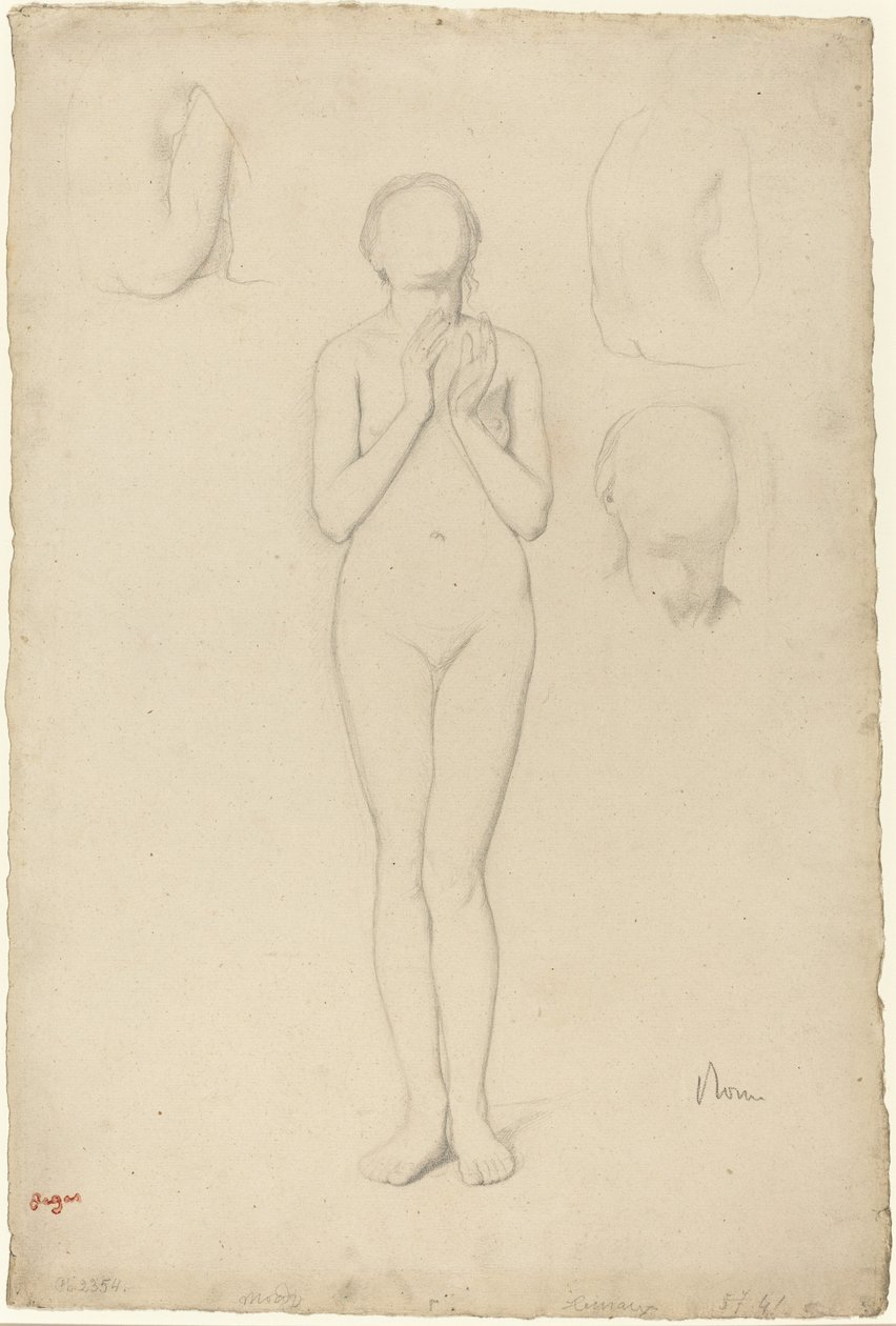 Studium aktu kobiecego autorstwa Edgar Degas