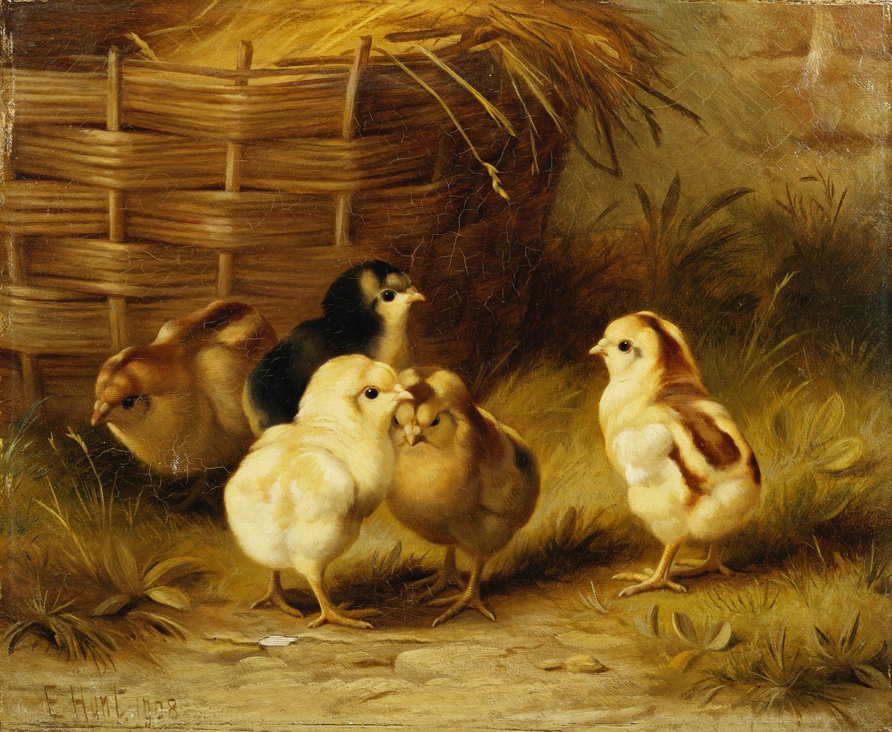 Pisklęta przy koszyku autorstwa Edgar Hunt