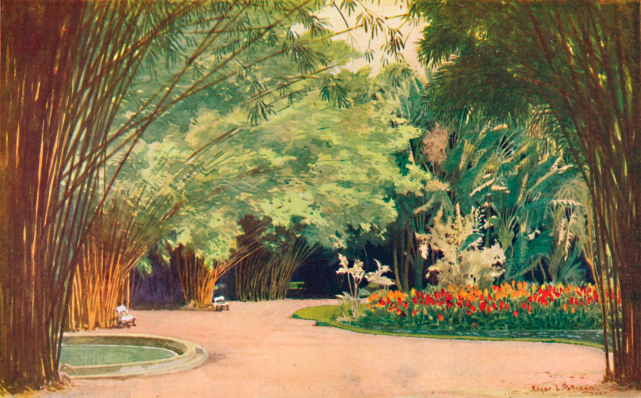 Bambusowy Gaj - Ogrody Botaniczne, 1914 autorstwa Edgar L. Pattison