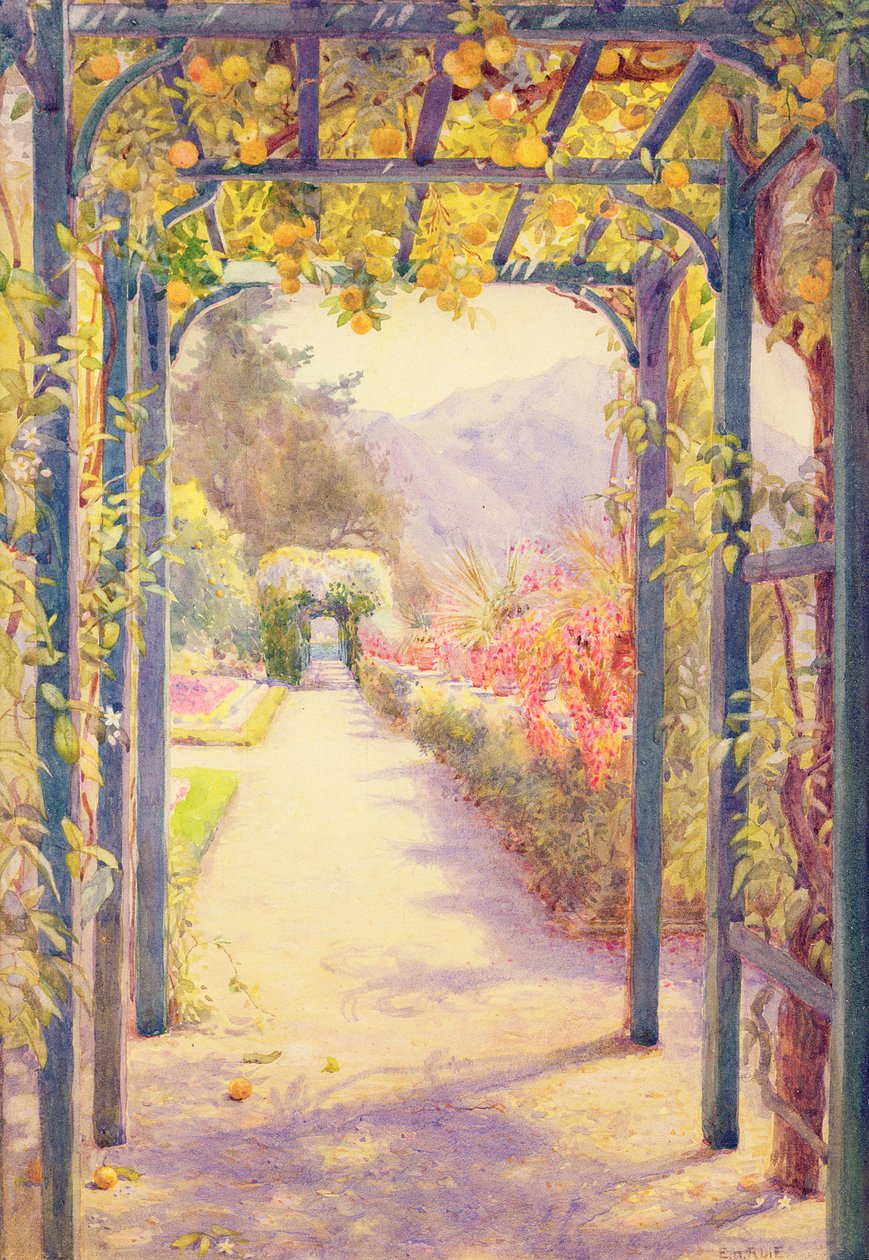 Włoska Pergola (akwarela na papierze) autorstwa Edith Helena Adie