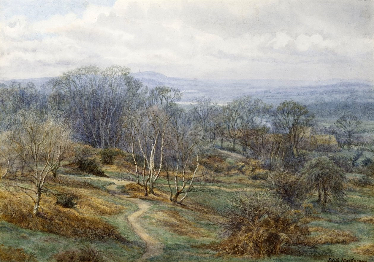 Hampstead Heath patrząc w stronę brony na wzgórzu, ok. 1880 (wc na papierze) autorstwa Edith Martineau