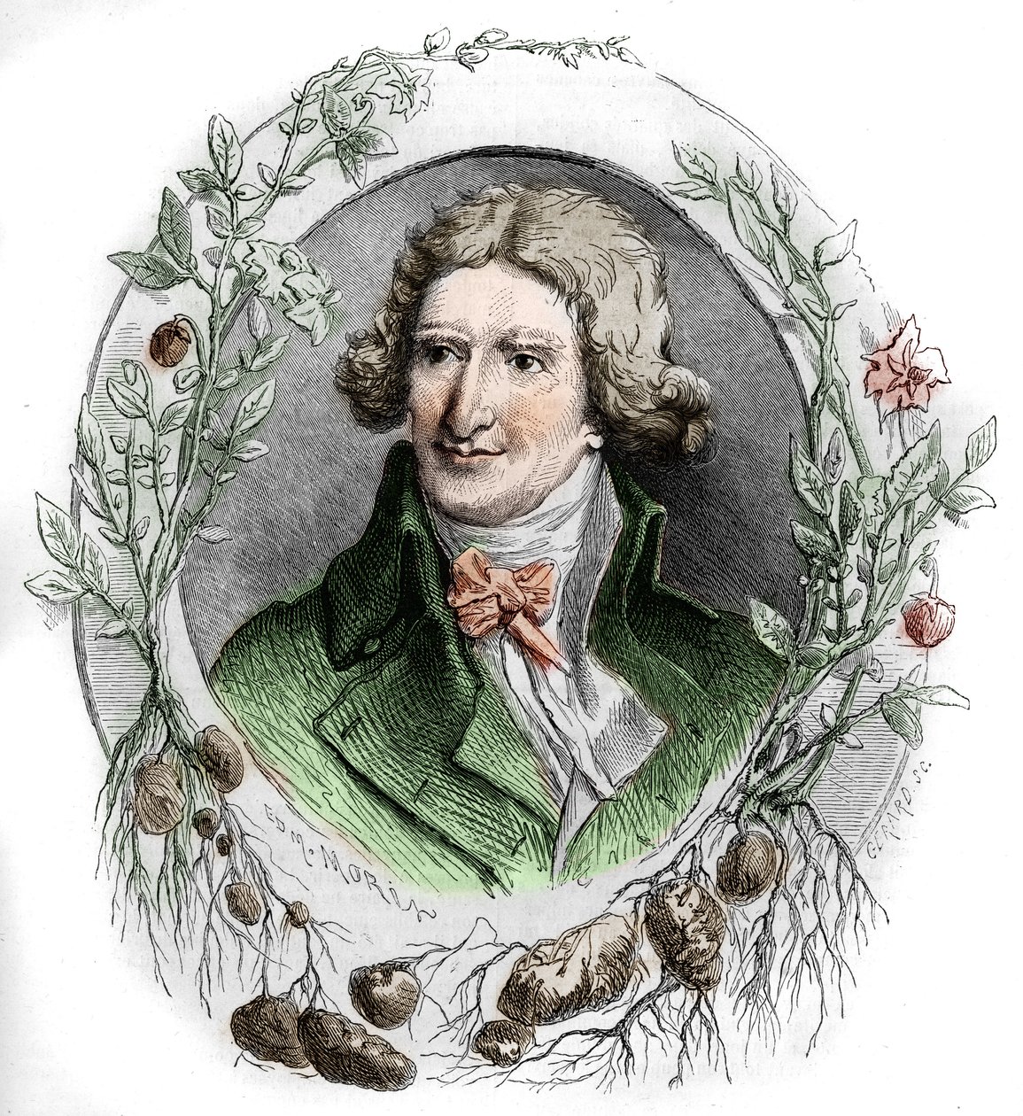 Portret Antoine Augustina Parmentiera (1737-1813), francuskiego aptekarza wojskowego i agronoma. Grawerowanie autorstwa Edmonda Morin autorstwa Edmond Morin