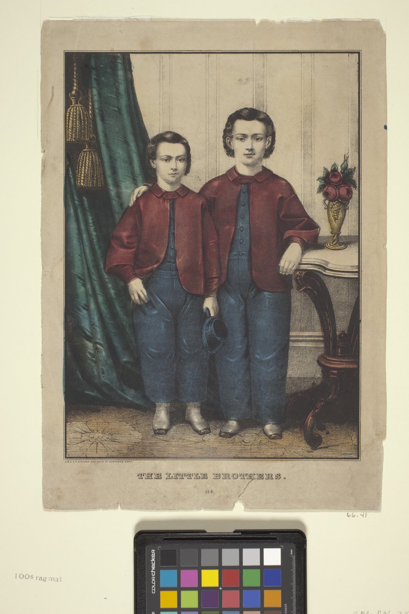 The Little Brothers (litografia ręcznie kolorowana) autorstwa Edmund Burke Kellogg