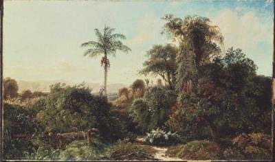 Pejzaż kubański (olej na płótnie) autorstwa Edmund Darch Lewis