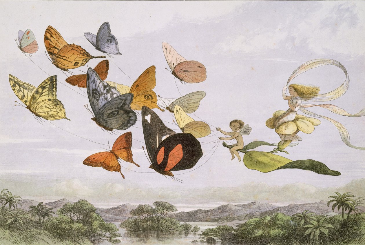 W Krainie Czarów: seria obrazków ze świata elfów, 1870. autorstwa Edmund Evans