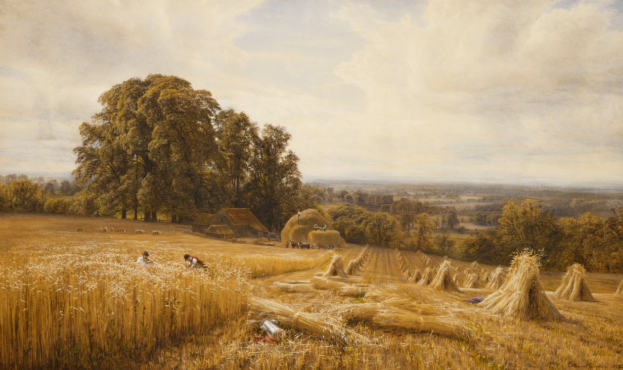 Rozległy krajobraz z kombajnami, 1873 autorstwa Edmund George Warren