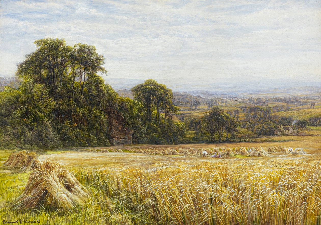 Czas żniw (akwarela) autorstwa Edmund George Warren
