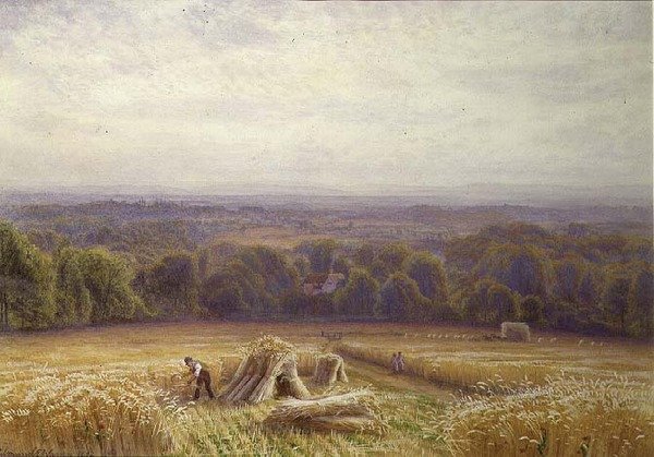 Żniwny autorstwa Edmund George Warren