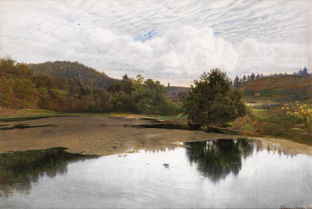 Leith Hill, z Broadmoor, Surrey autorstwa Edmund George Warren