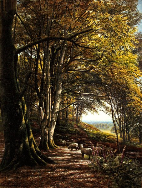 Wypas owiec na leśnej polanie (akwarela i bodycolor na papierze) autorstwa Edmund George Warren
