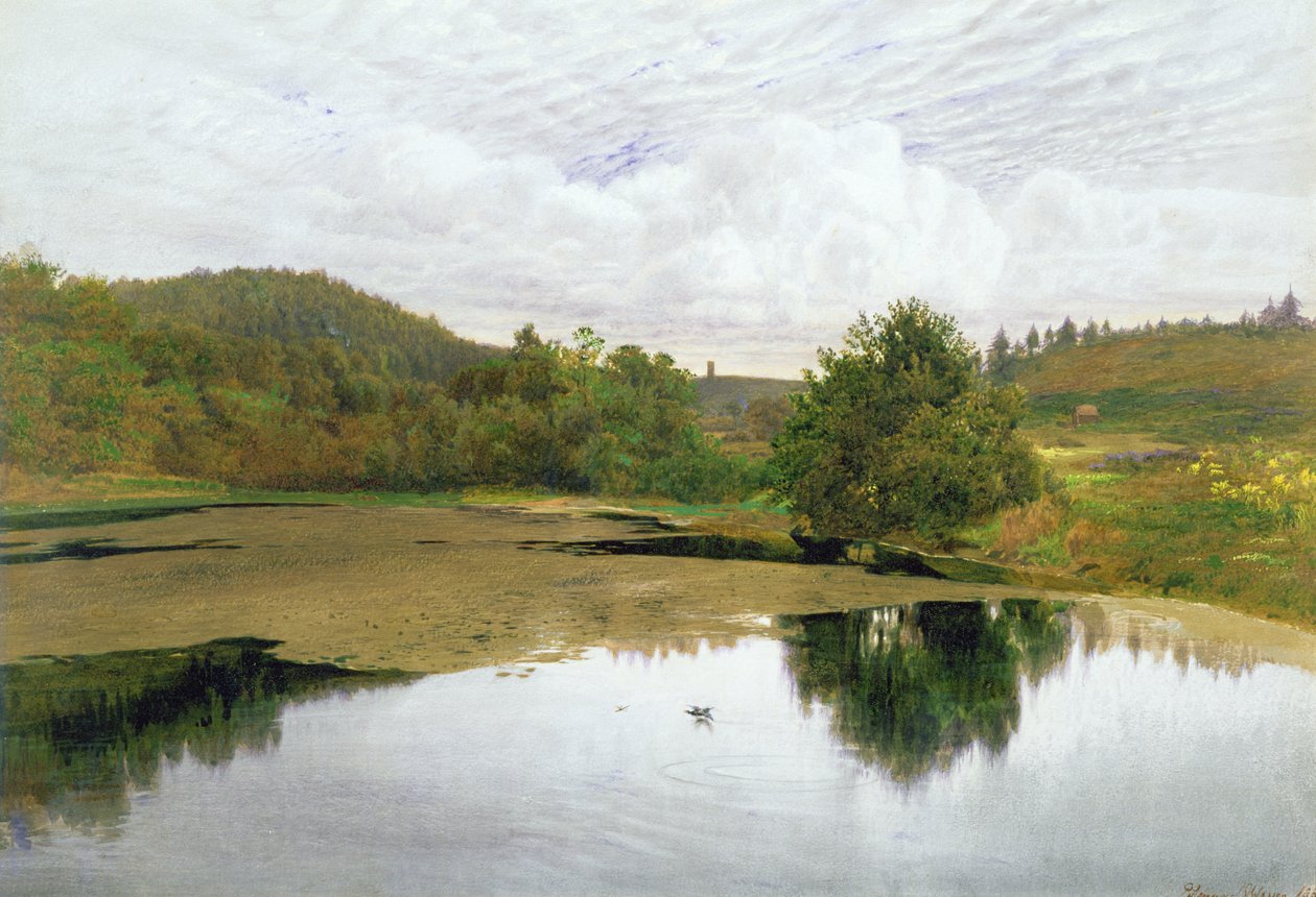 Basen, 1860 (toaleta i długopis i atrament na papierze) autorstwa Edmund George Warren