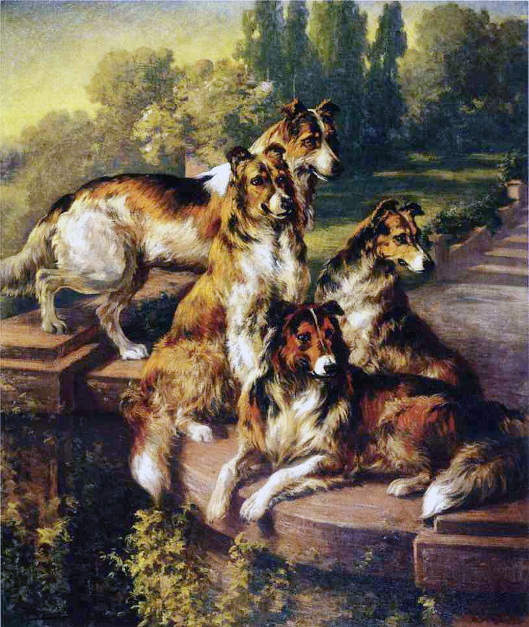 Collie autorstwa Edmund Henry Osthaus