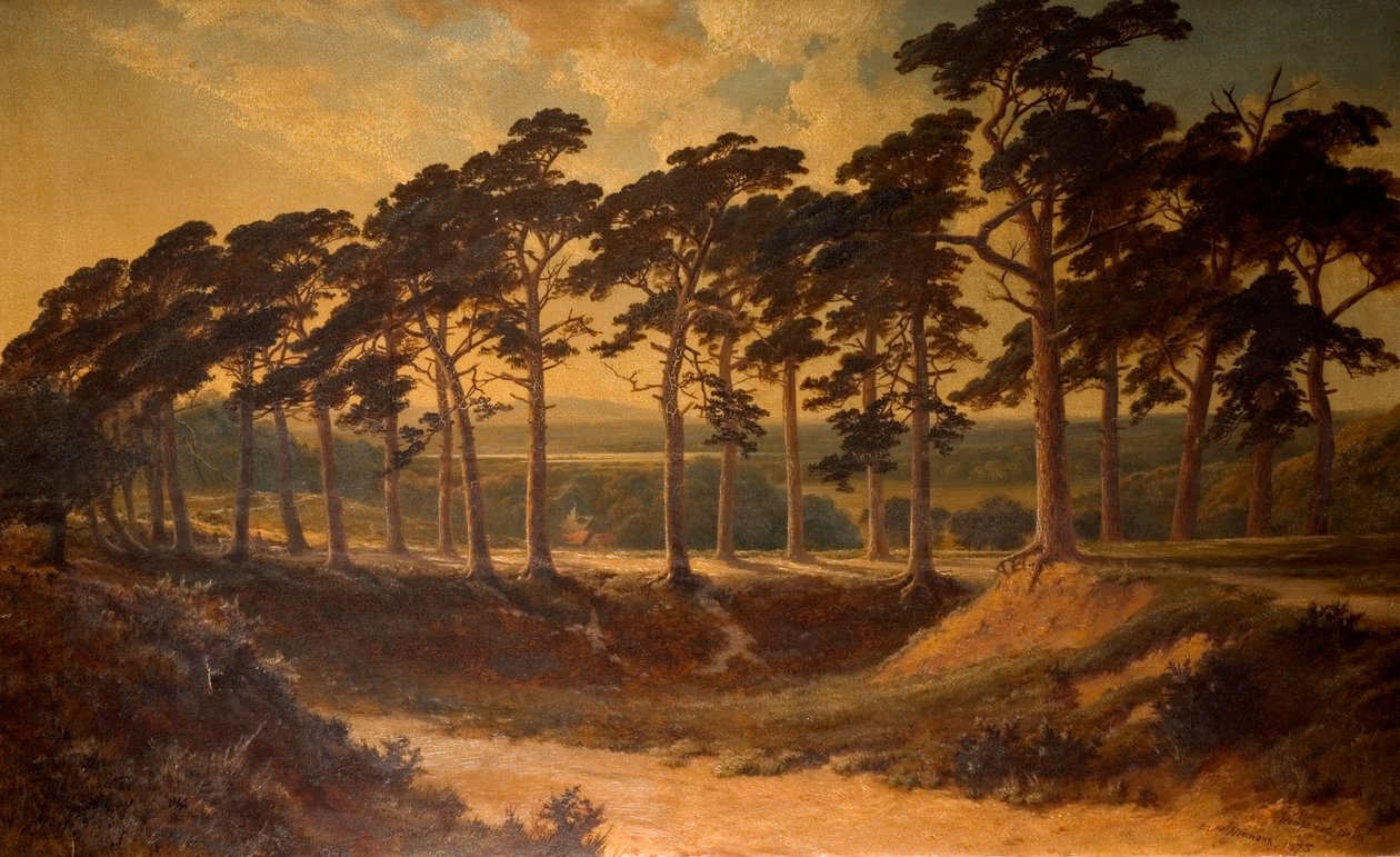 Brona z Pierwszej, Hampstead Heath, 1875 autorstwa Edmund John Niemann