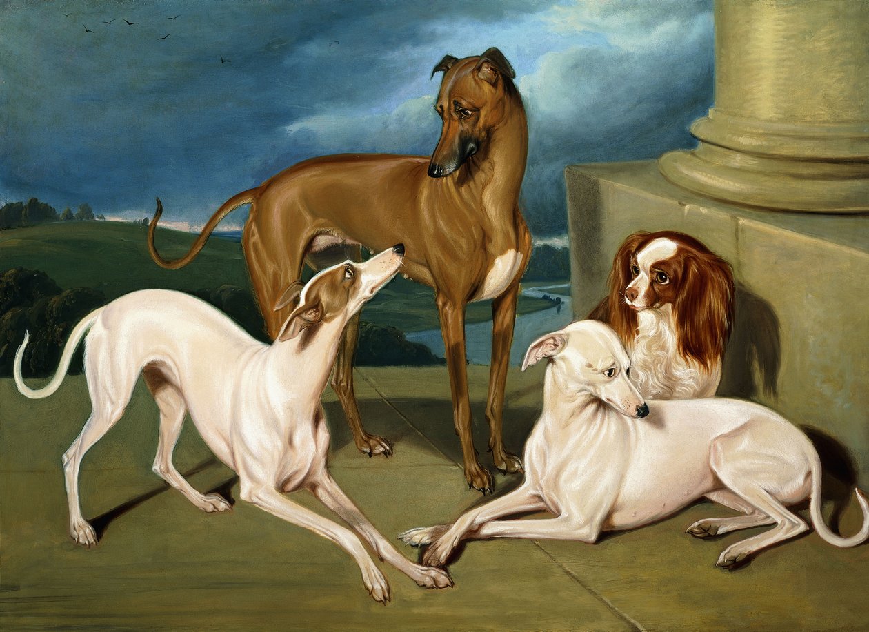 Whippety i King Spaniel, 1837 autorstwa Edmund Jr Havell