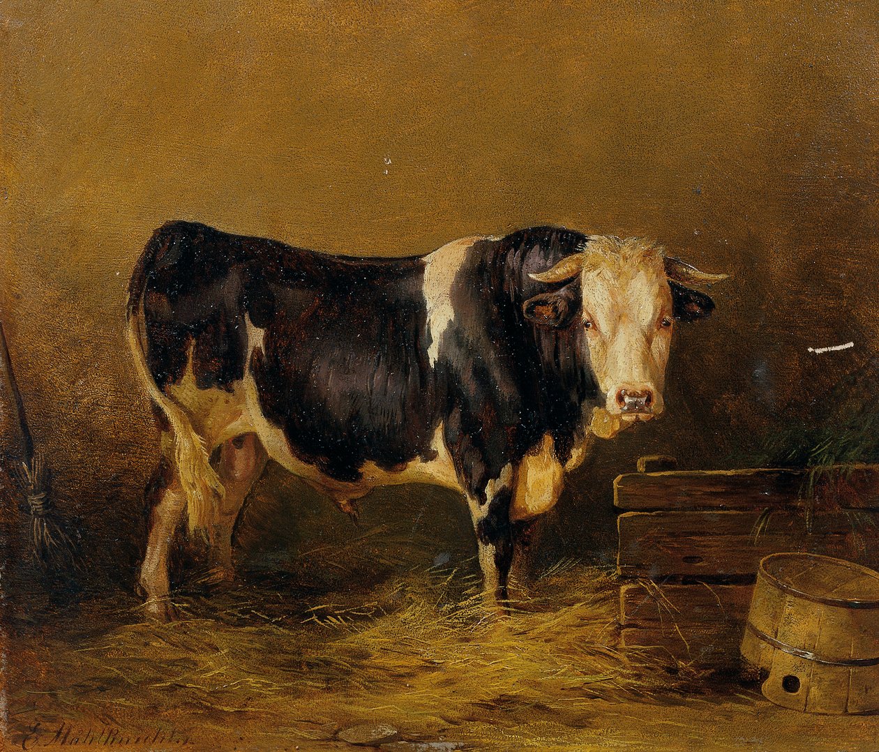 byk w stajni autorstwa Edmund Mahlknecht