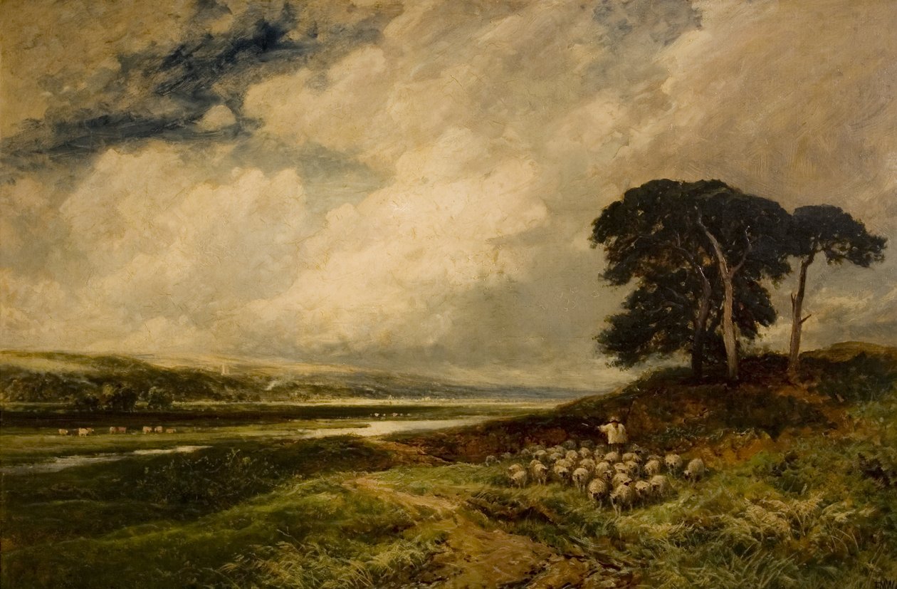 Krajobraz z owcami, 1899 autorstwa Edmund Morison Wimperis