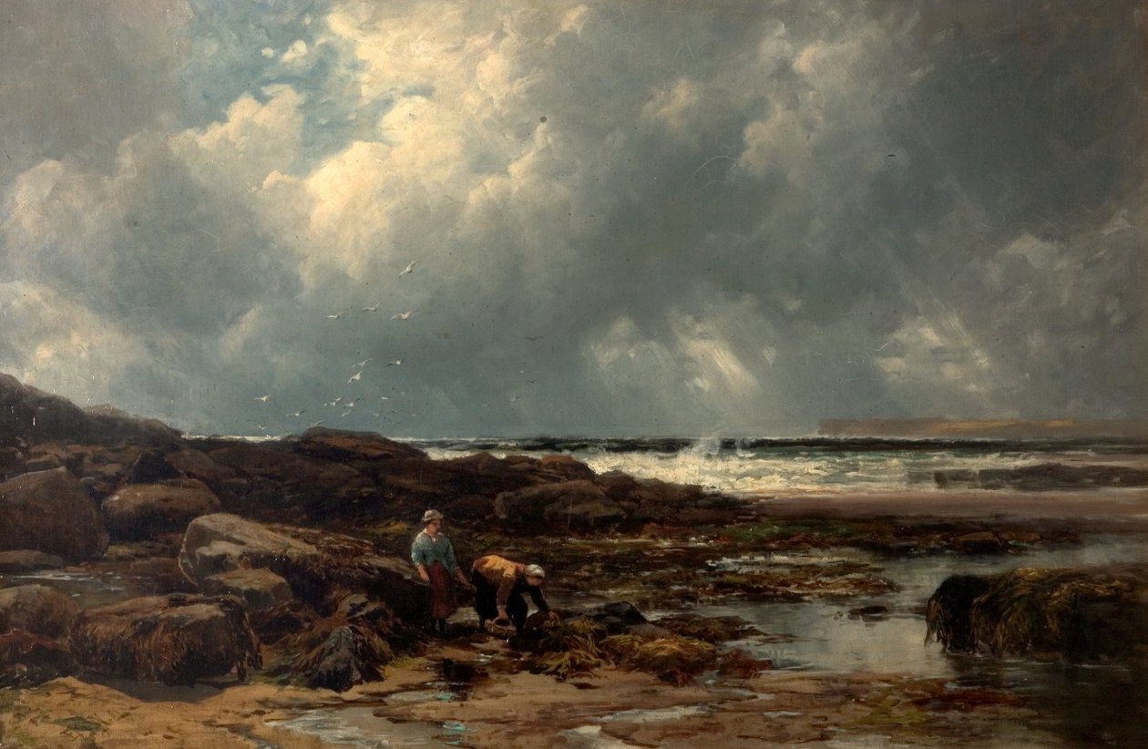 Zbieracze wodorostów autorstwa Edmund Morison Wimperis