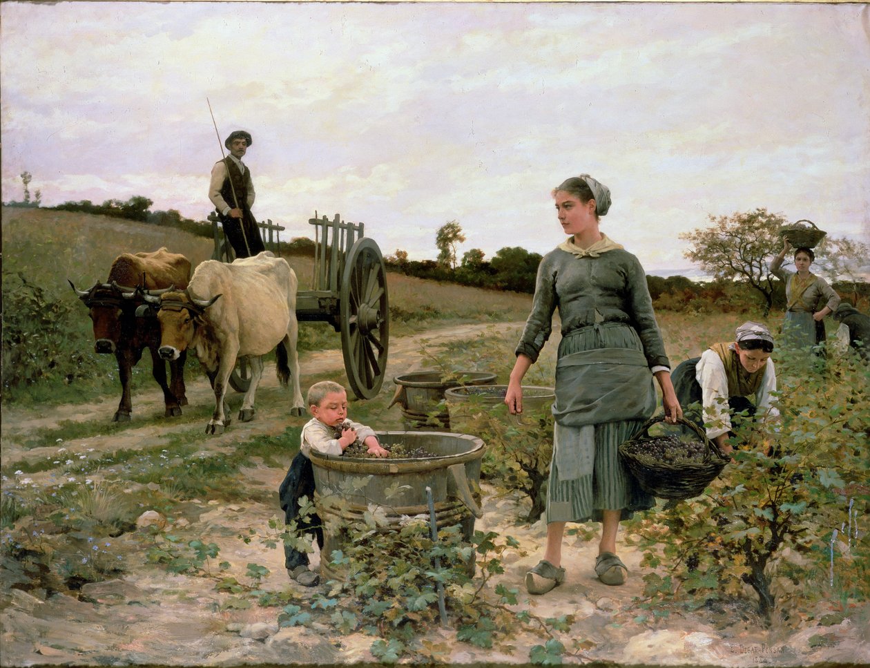 Narożnik winnicy, Langwedocja, 1886 autorstwa Edouard Debat Ponsan