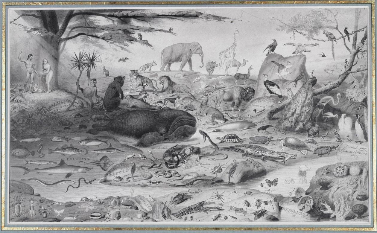 Adam i Ewa i zwierzęta, 1841 autorstwa Edouard Travies