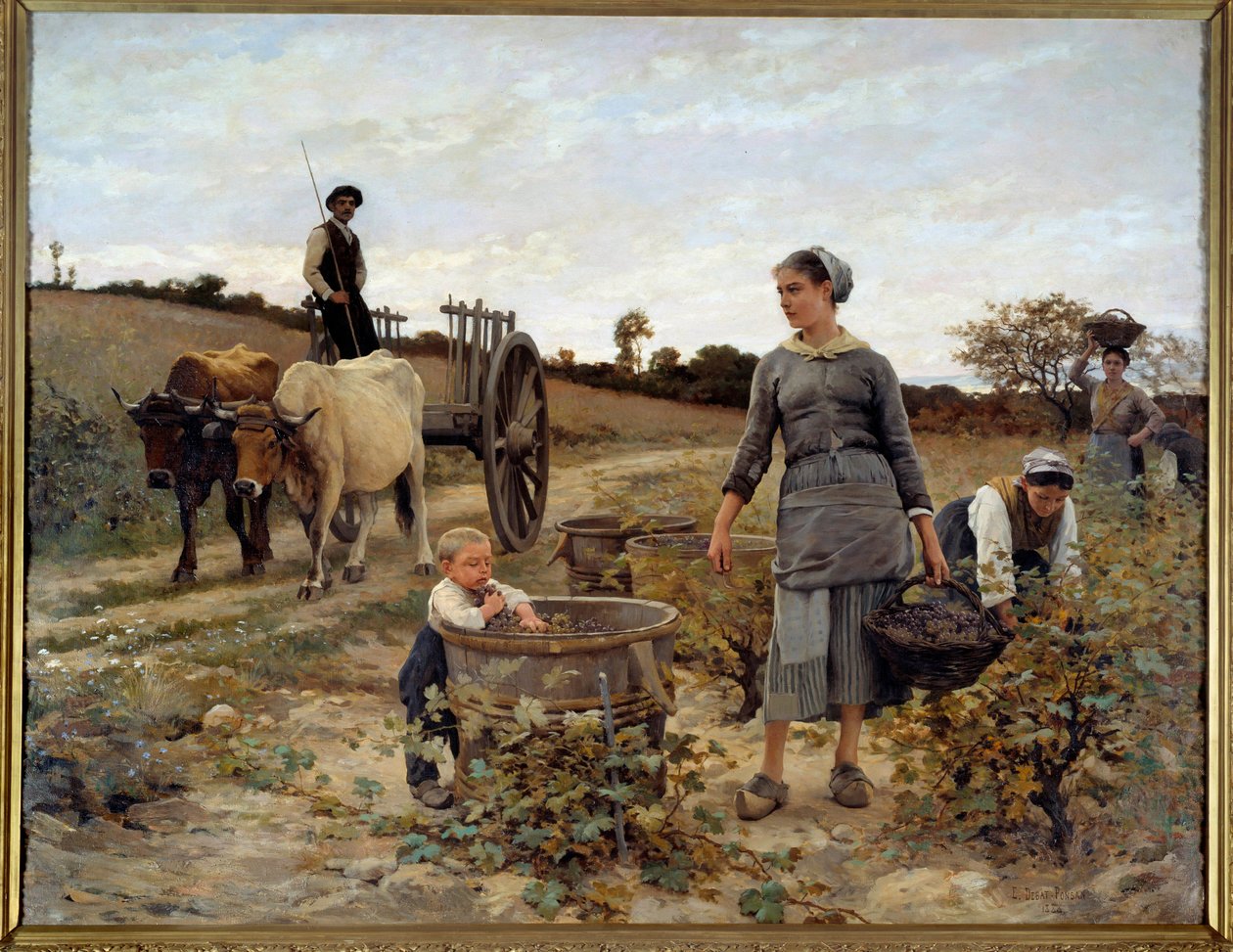 Narożnik winorośli w Langwedocji Obraz Edouarda Debata Ponsana (1847-1913) 1886 nd. 2,02x2,6 m Nantes, Musee des Beaux Arts autorstwa Edouard Debat Ponsan