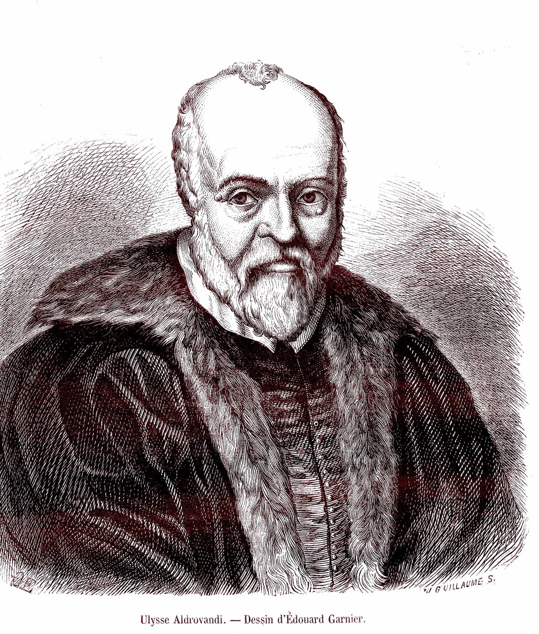 Ulisse Aldrovandi autorstwa Edouard Garnier