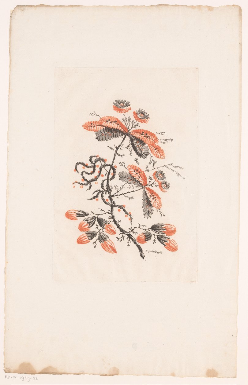 Kwiaty i pąki Fleurs Idealle (tytuł serii) autorstwa Edouard Gautier Dagoty