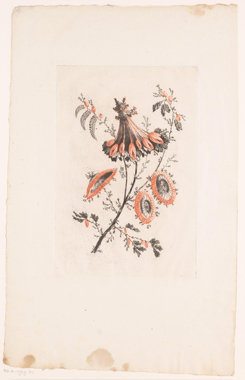 Kwiaty w kształcie parasola Fleurs Idealle (tytuł serii) autorstwa Edouard Gautier Dagoty