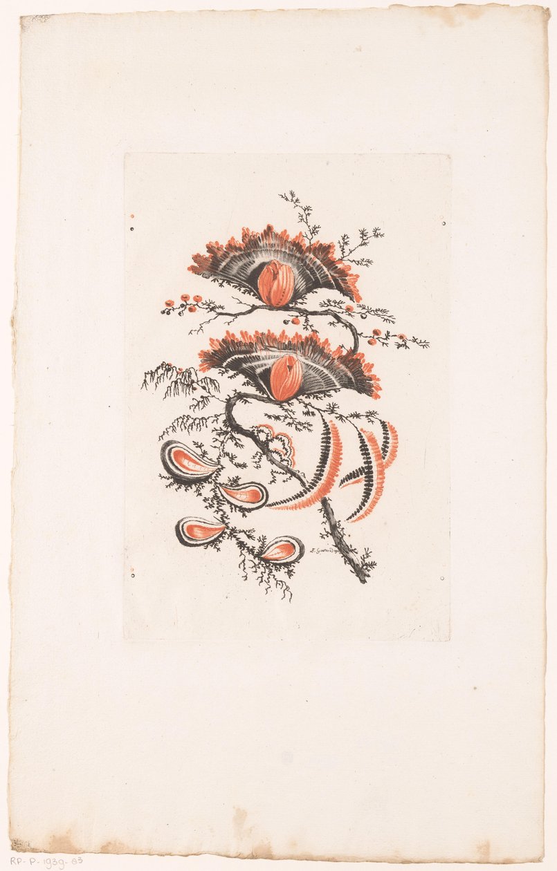 Kwiaty w kształcie wachlarza Fleurs Idealle (tytuł serii) autorstwa Edouard Gautier Dagoty