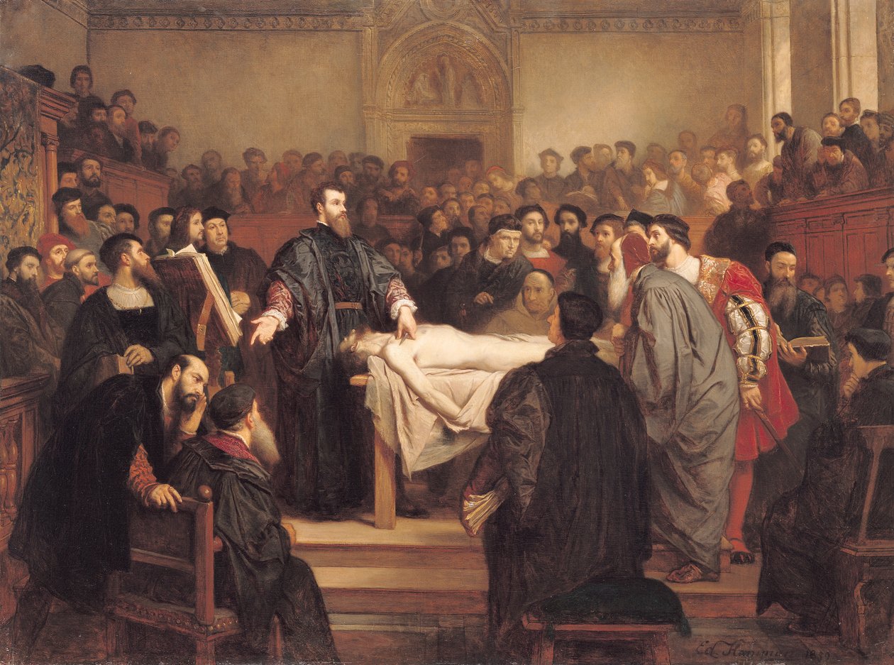 Andreas Vesalius (1514-64) w Padwie, 1859 autorstwa Edouard Jean Conrad Hamman