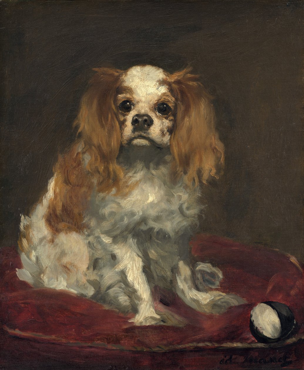 King Charles Spaniel, ok. 1930 r. 1866. autorstwa Édouard Manet